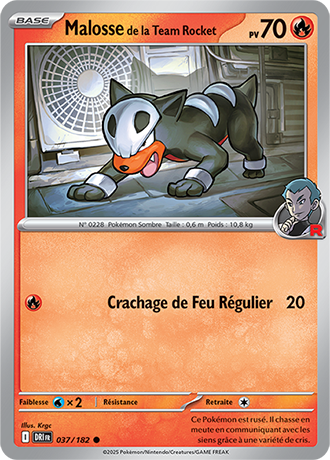Malosse de la Team Rocket 037/182