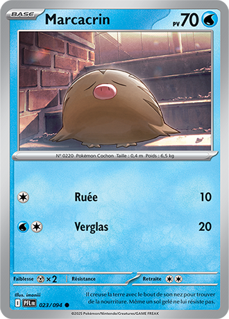 Reverse｜Marcacrin 023/094