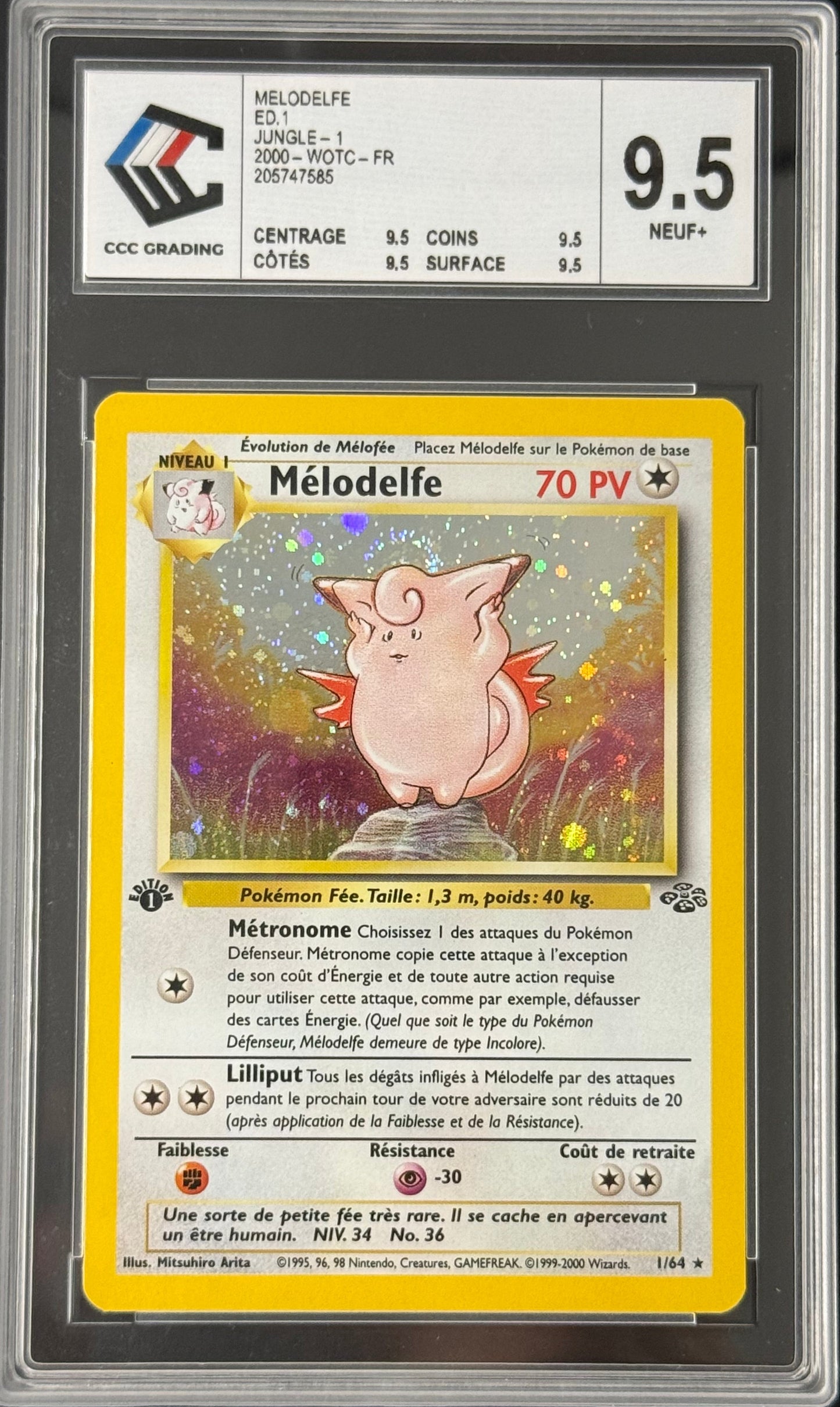 Mélodelfe 1/64 Jungle Edition 1｜CCC 9.5