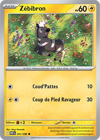 Reverse｜Zébibron 031/086