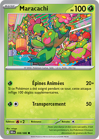 Reverse｜Maracachi 008/086